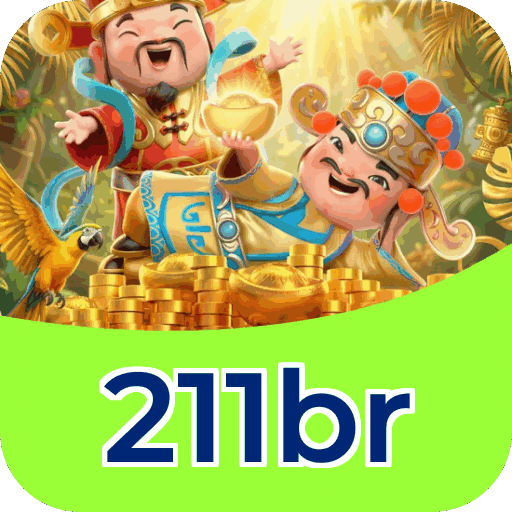 211br
